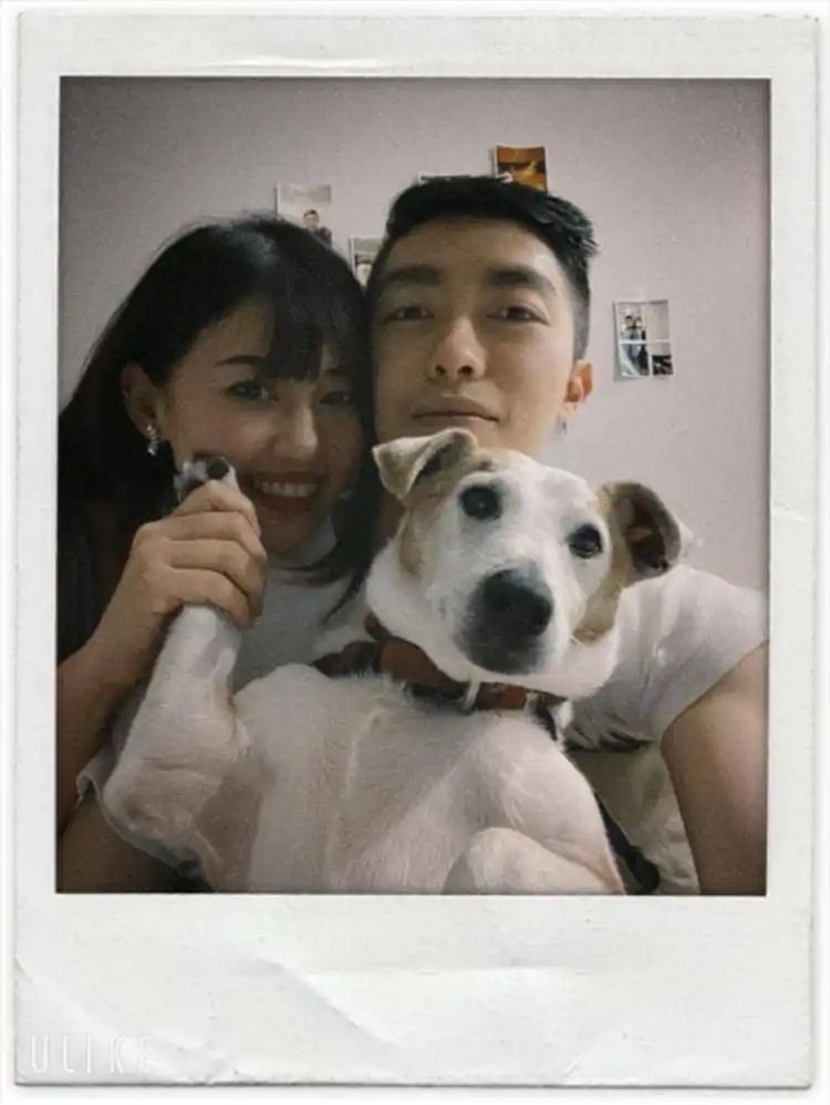 image-5