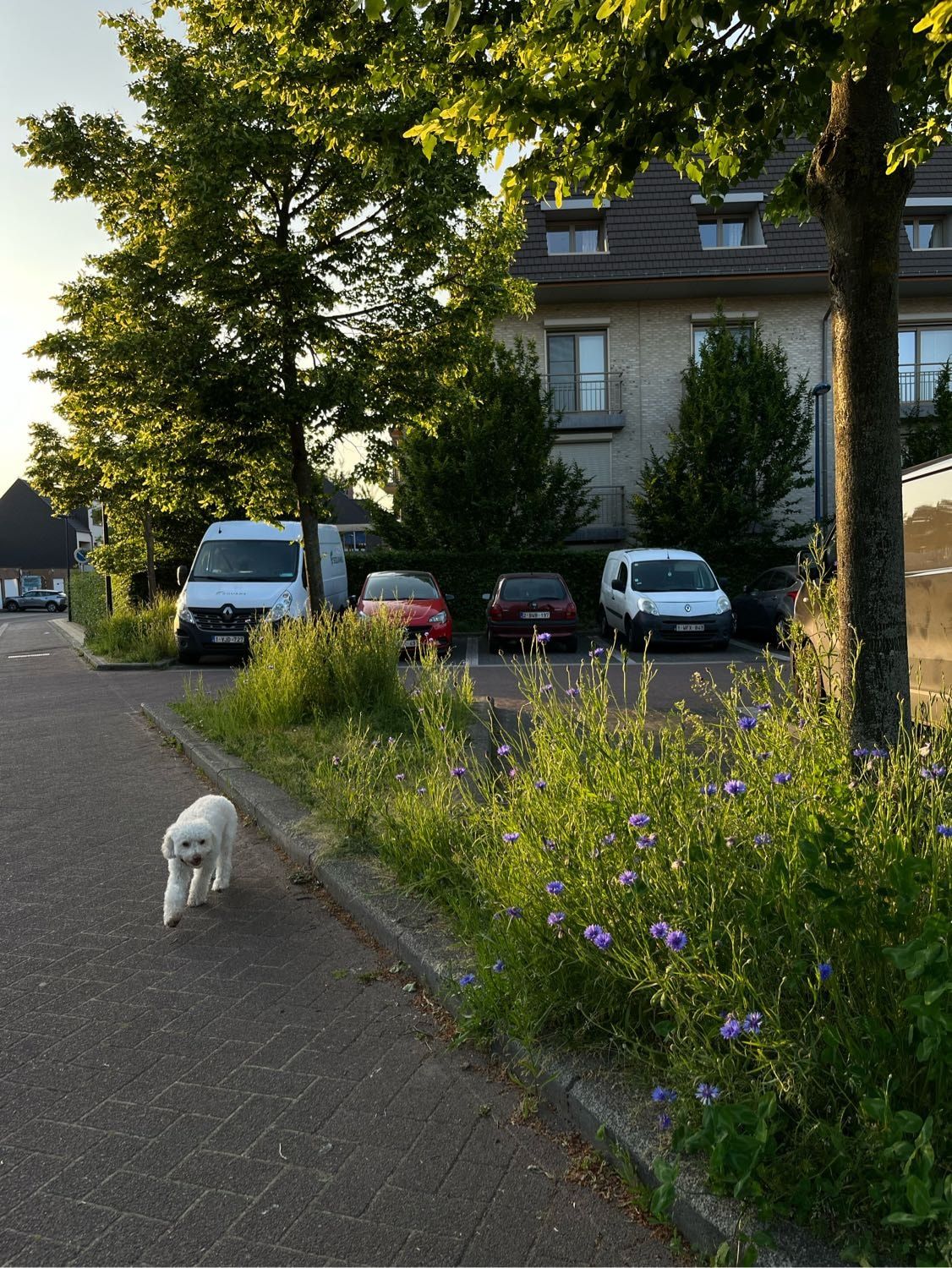 image-3