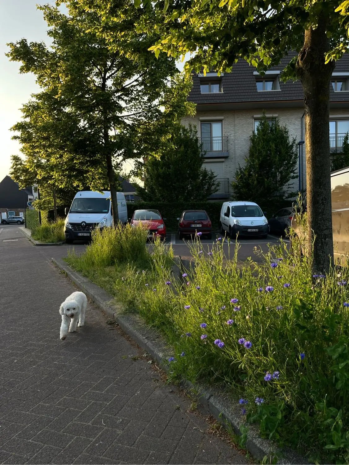image-3