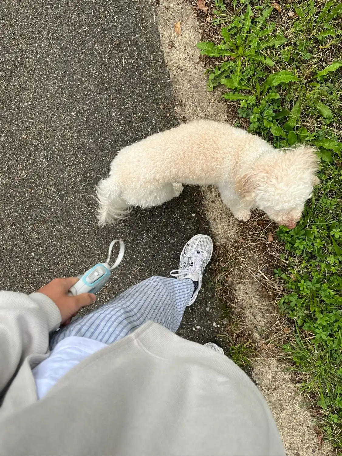 image-8