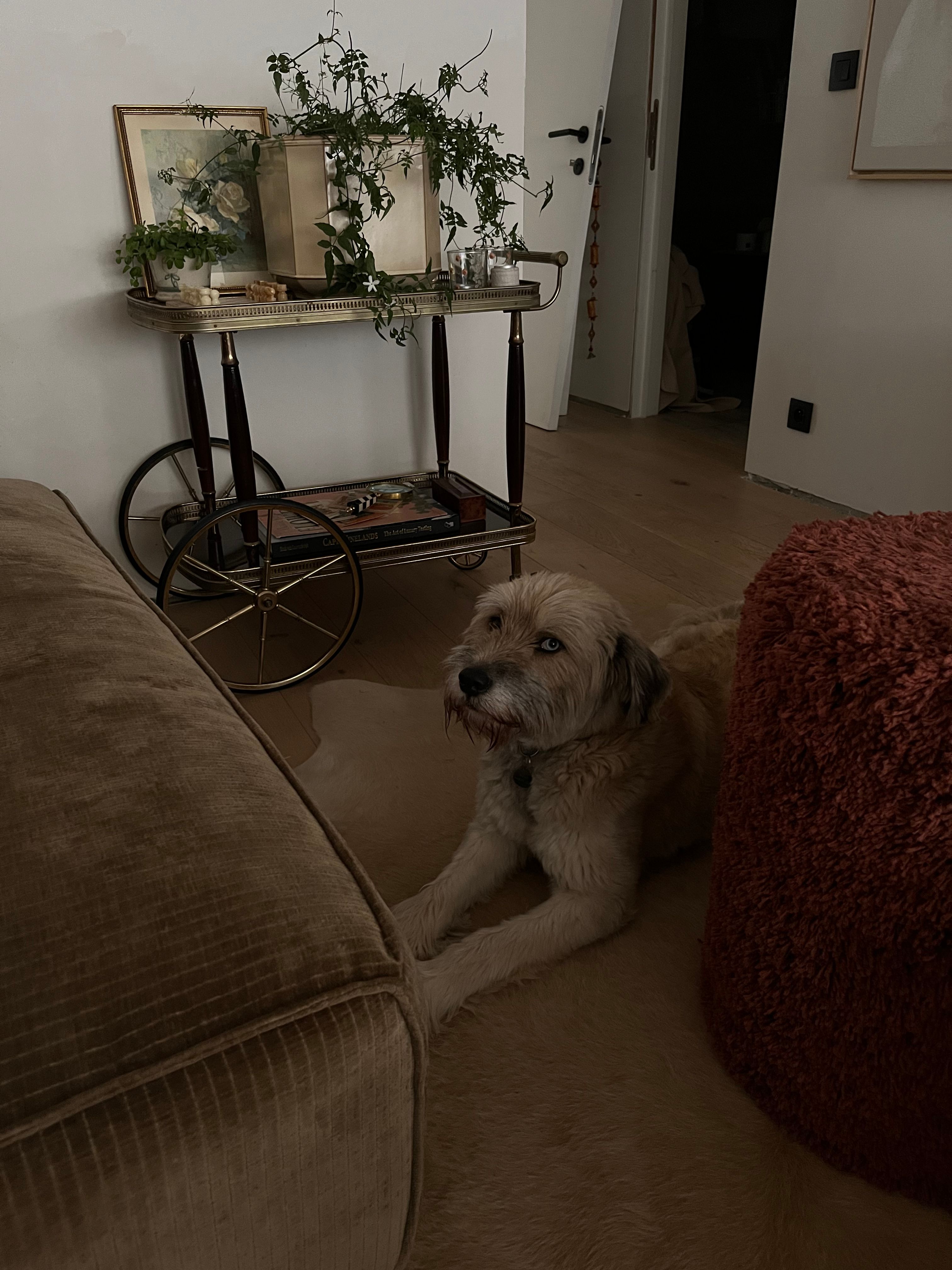 image-16