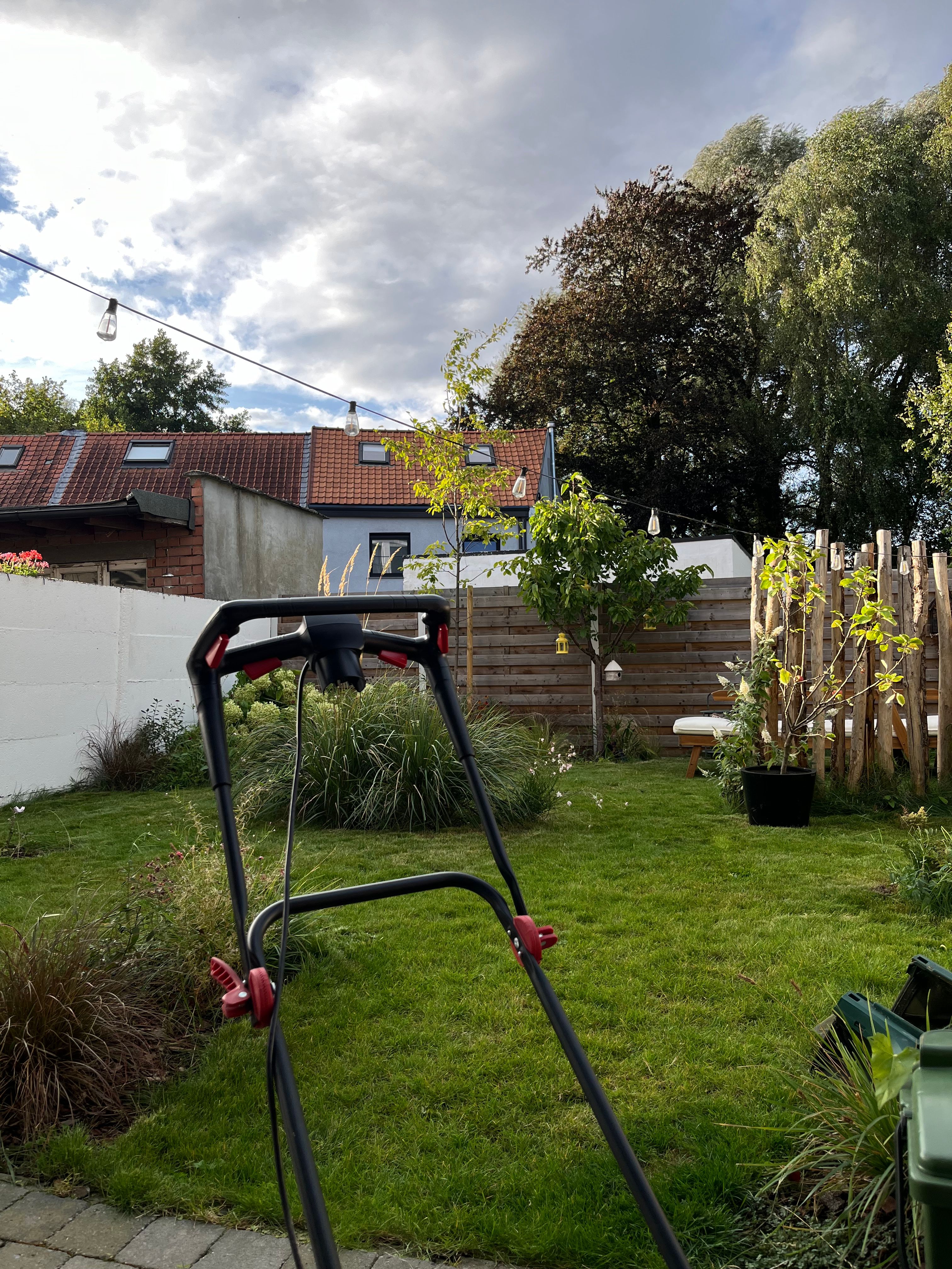 image-20