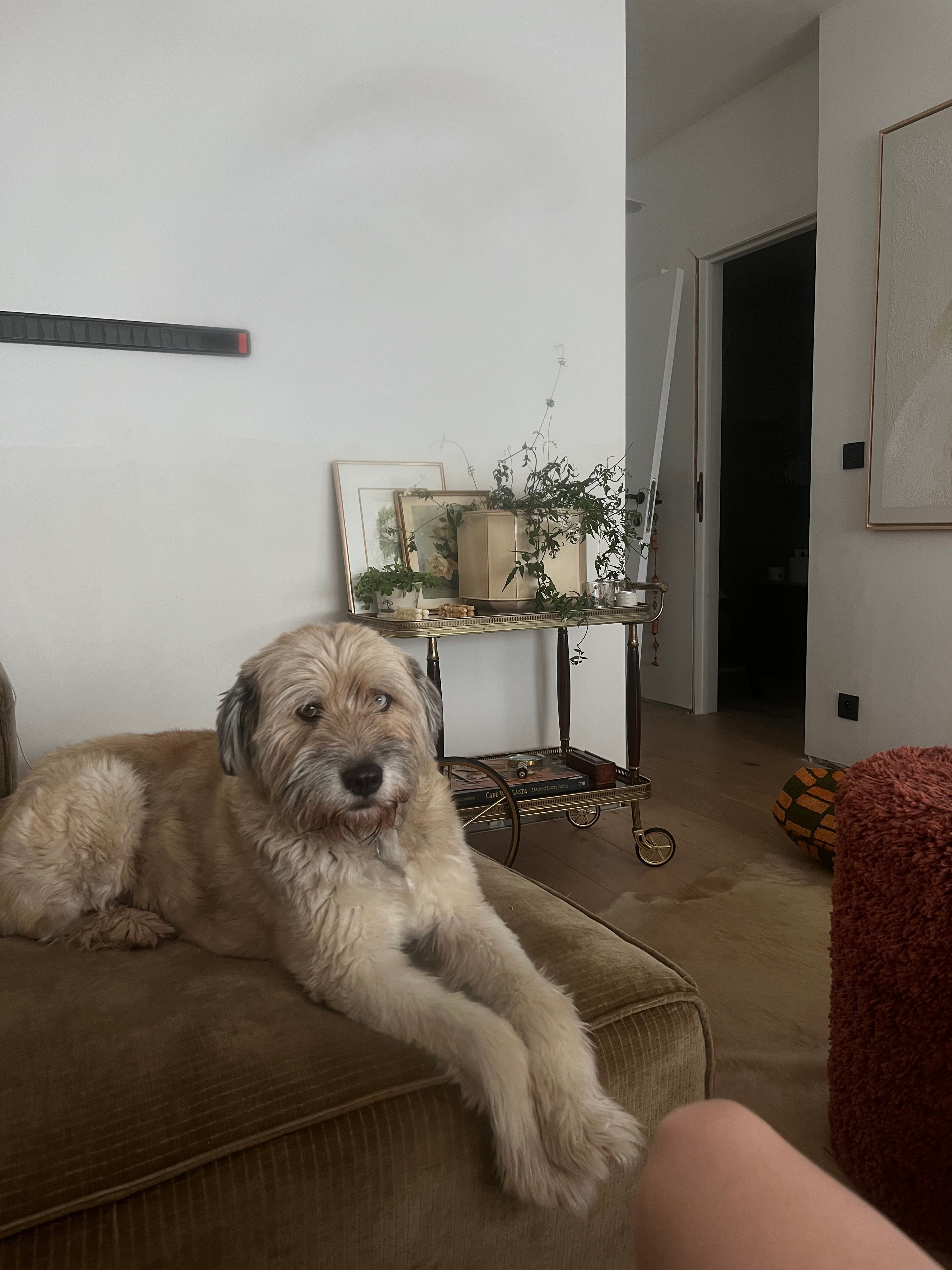 image-12