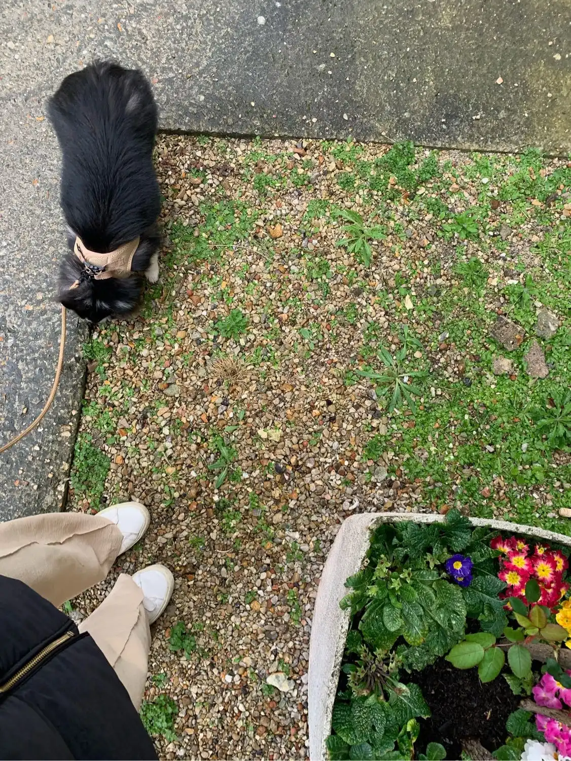 image-6