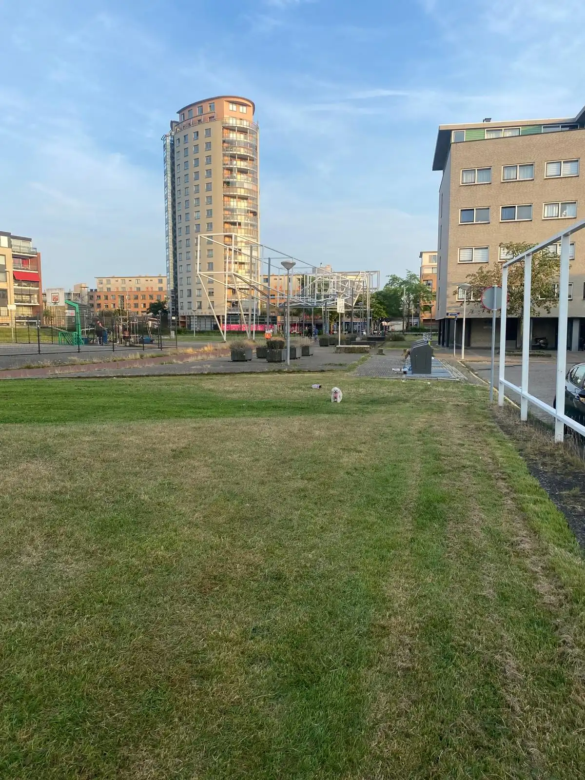image-10