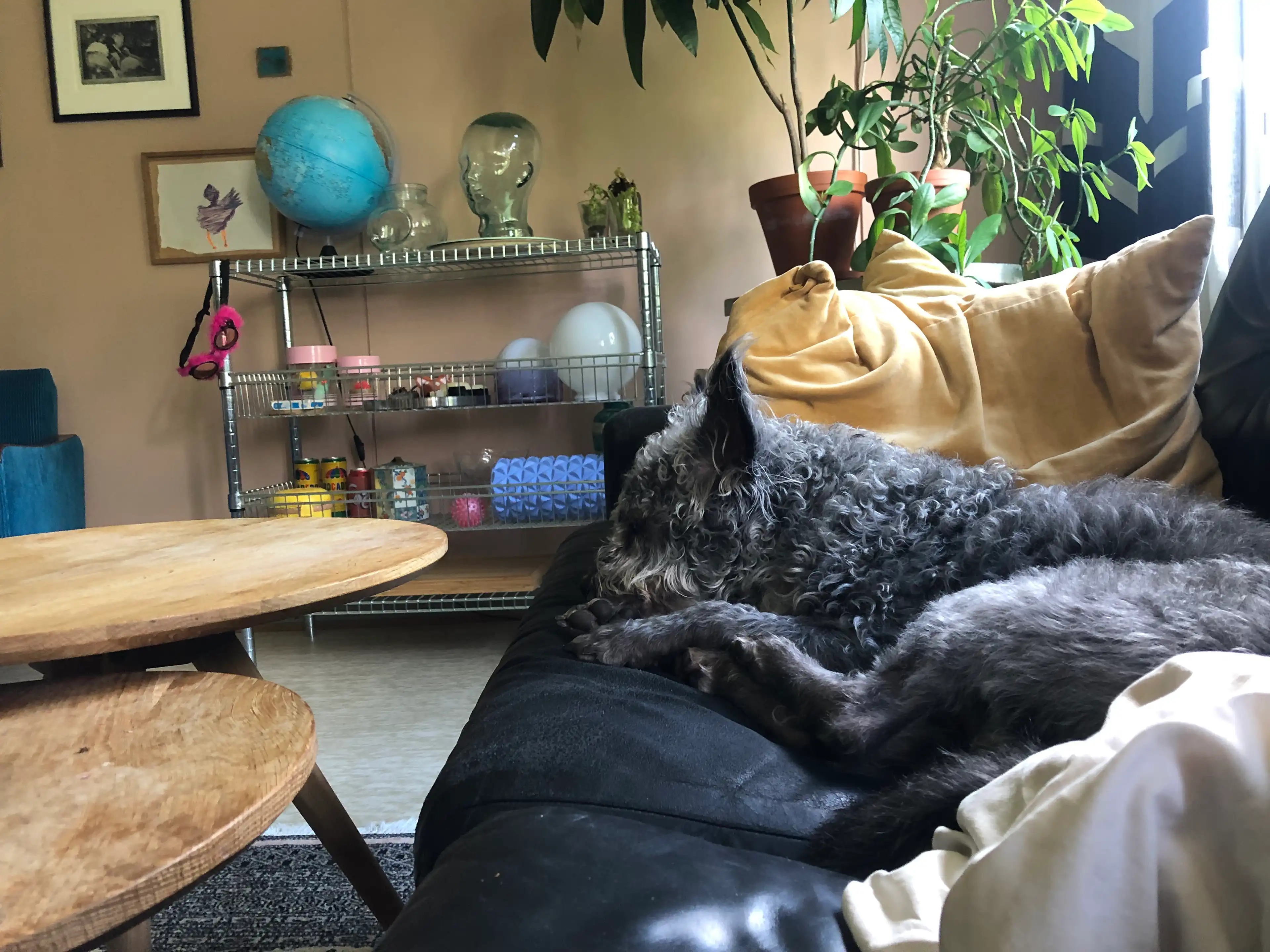 image-12