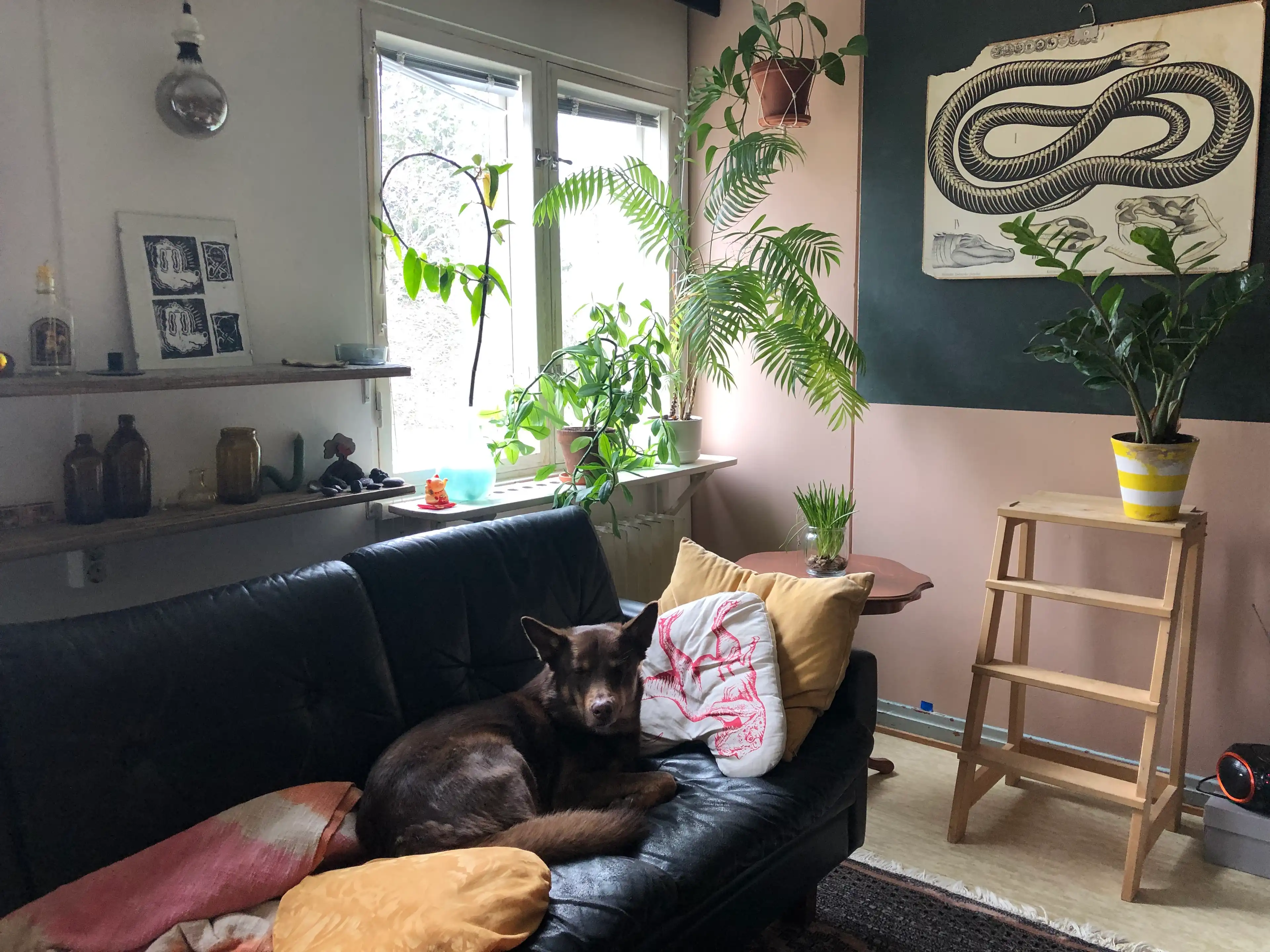 image-13