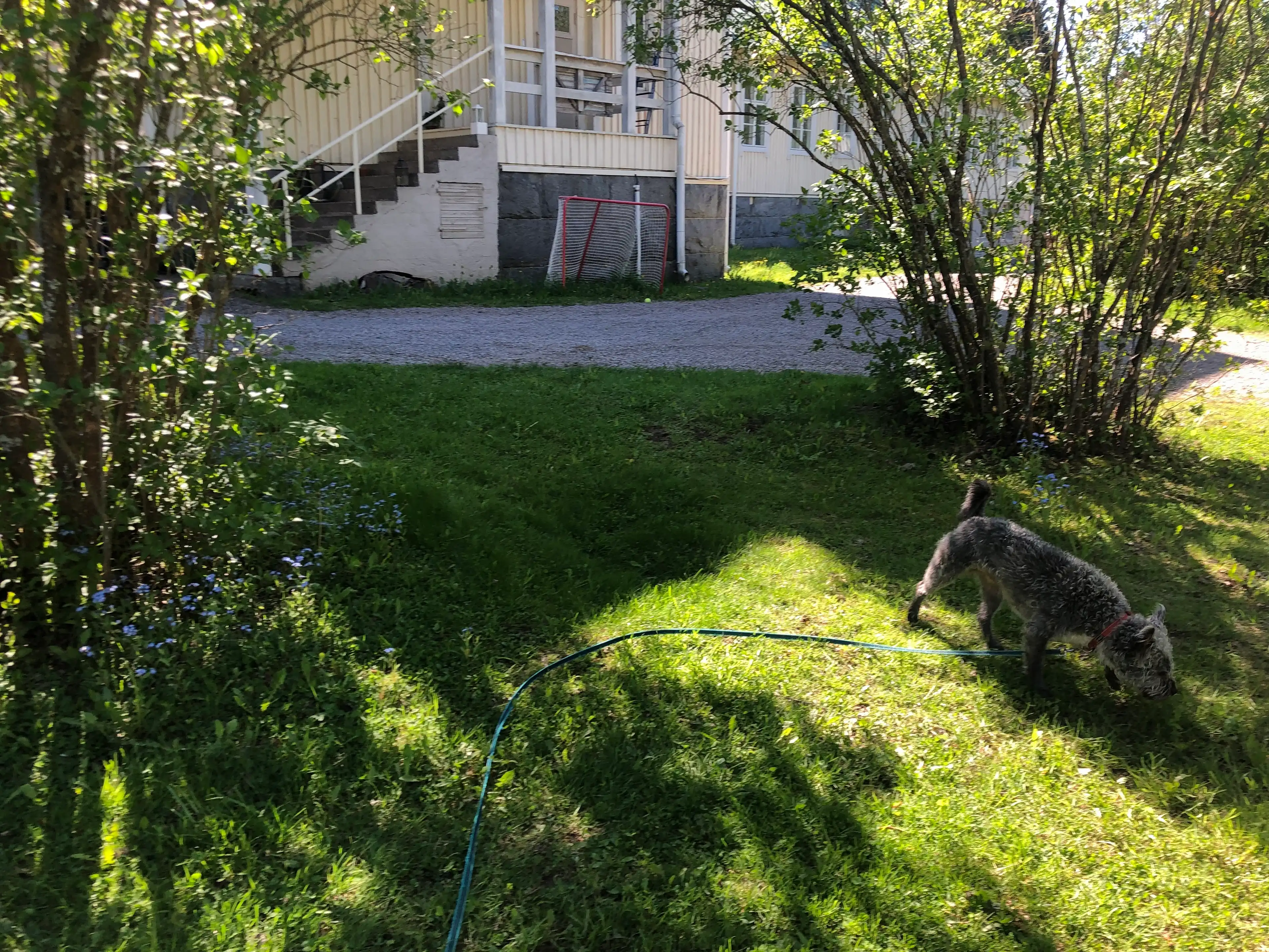 image-11