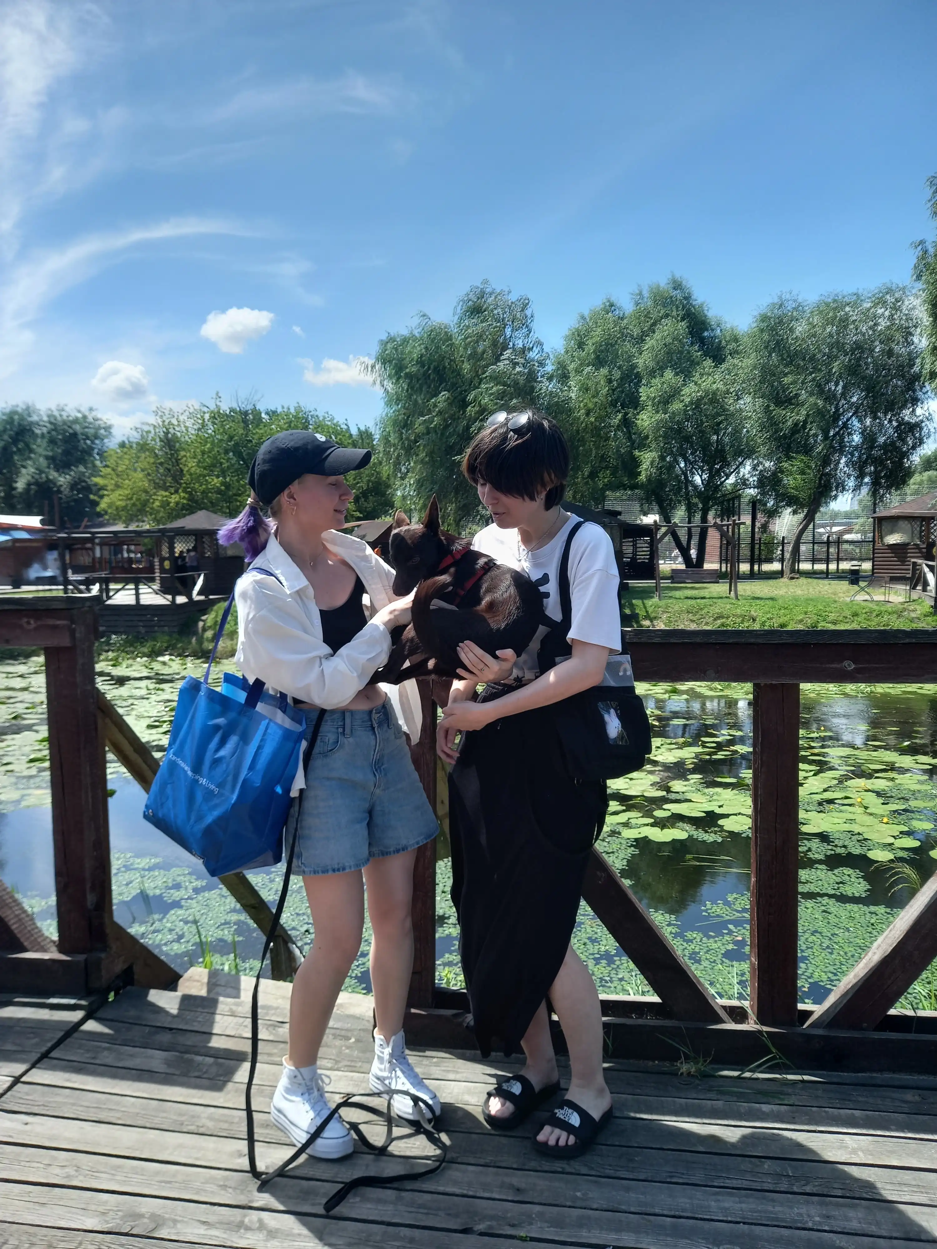 image-11