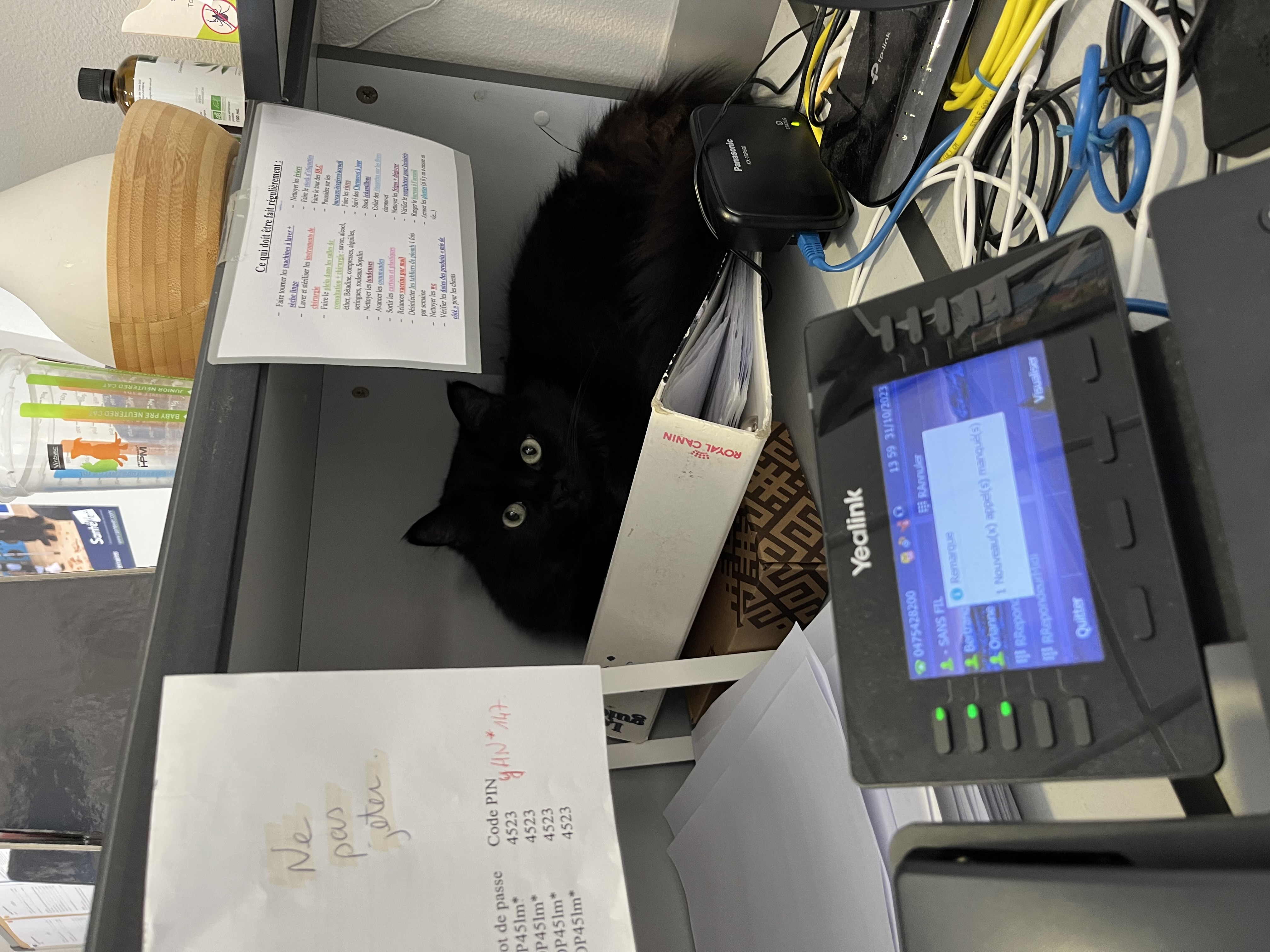 image-4