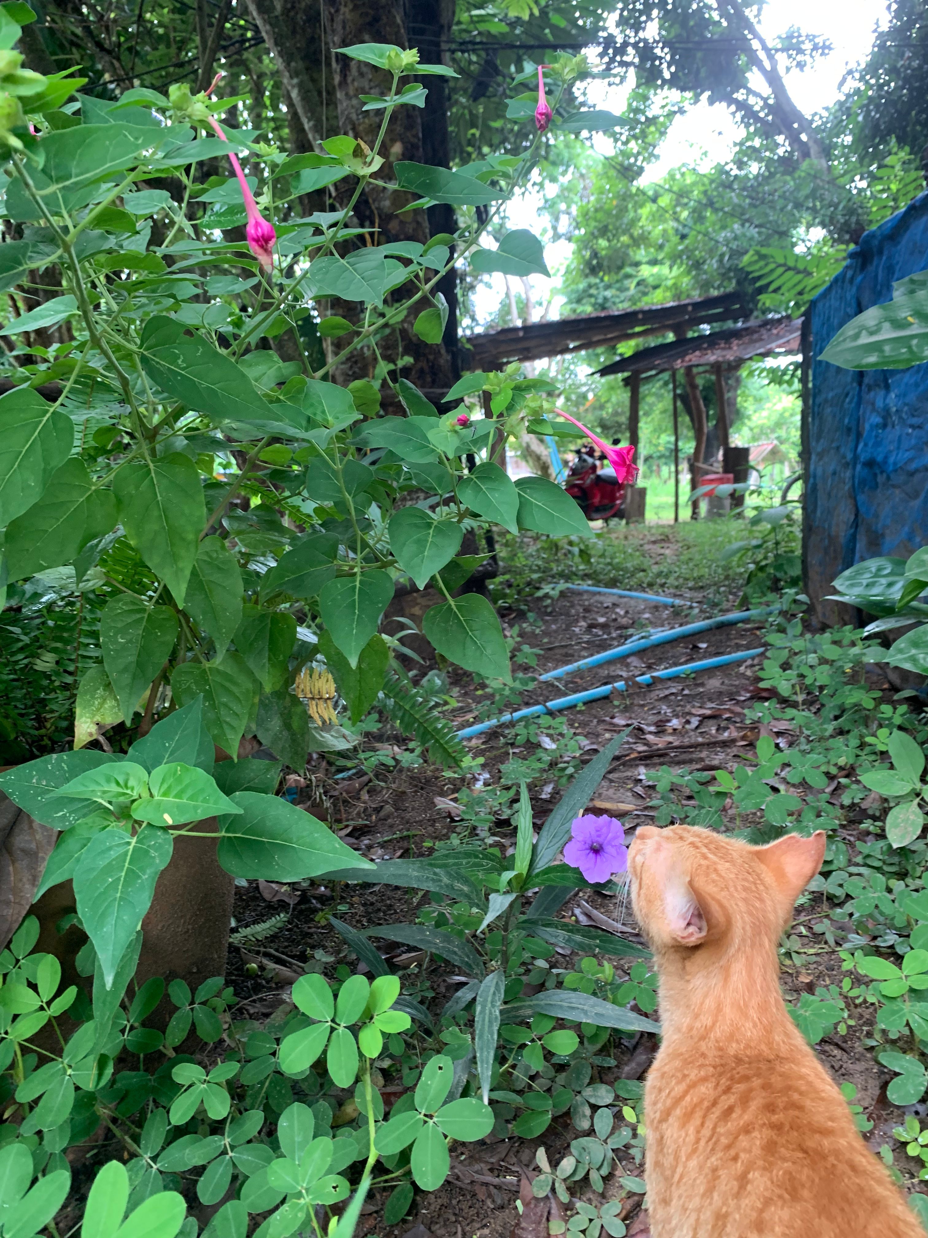 image-16