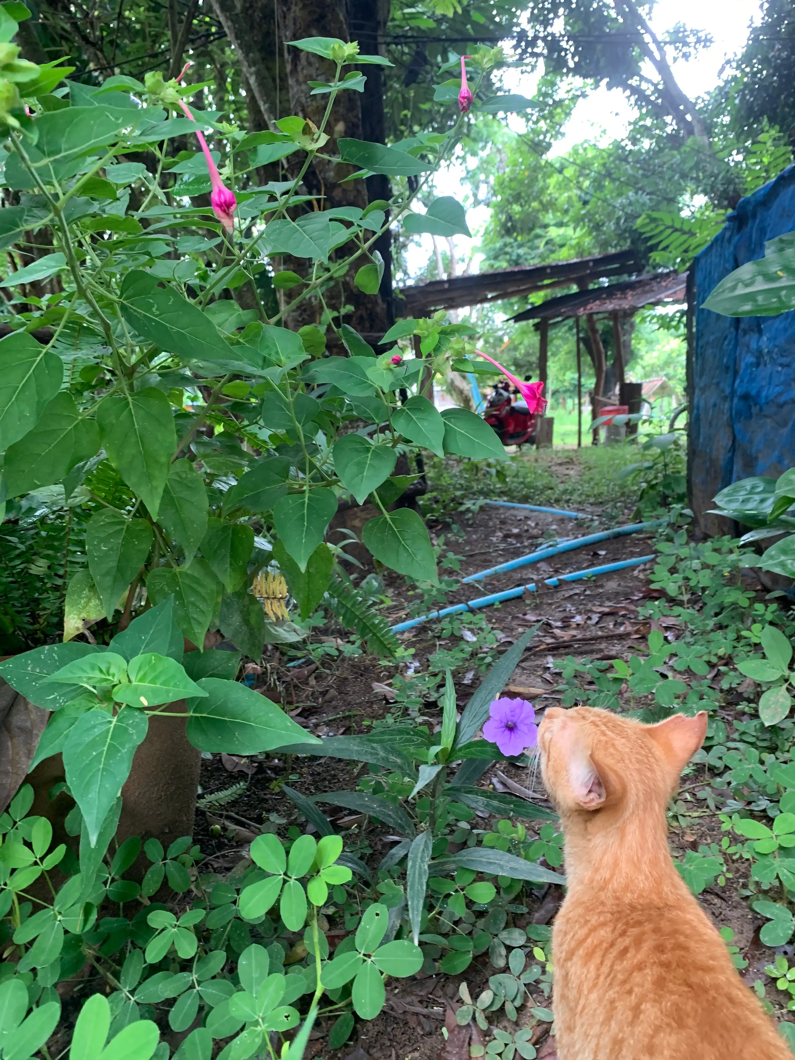 image-16