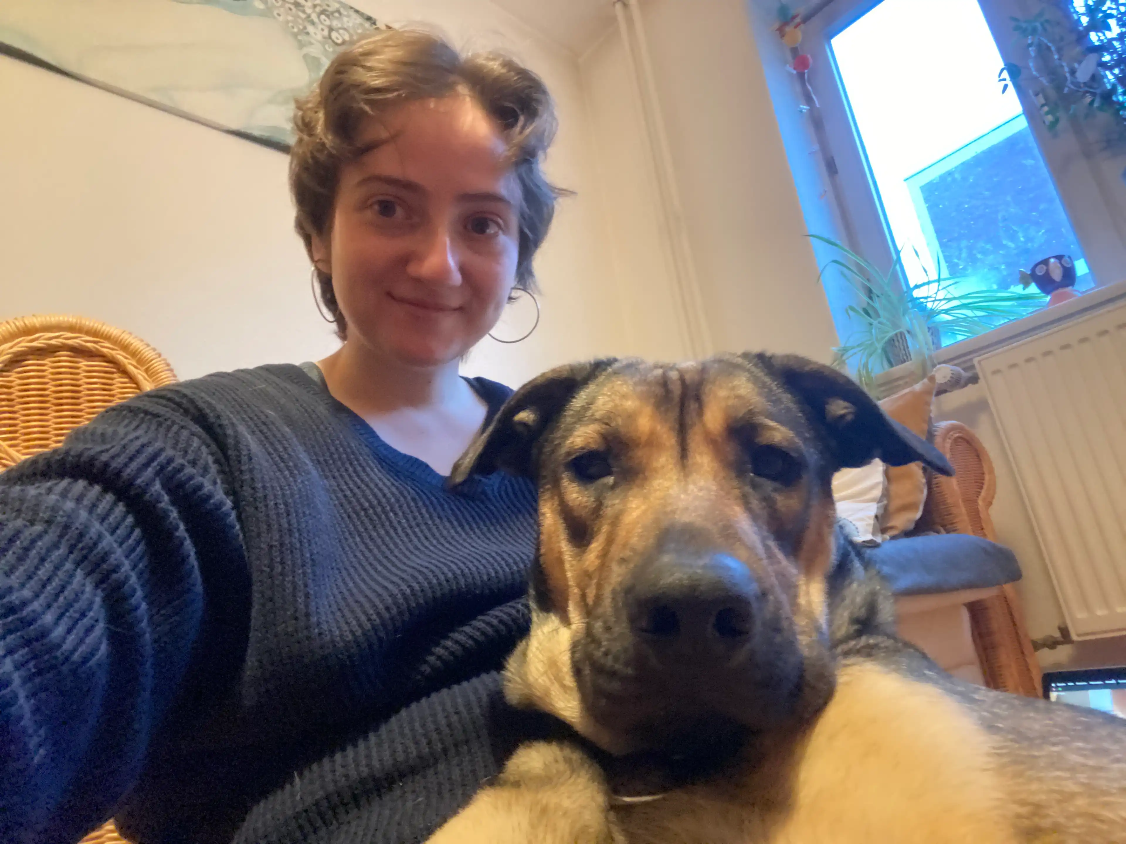 image-6