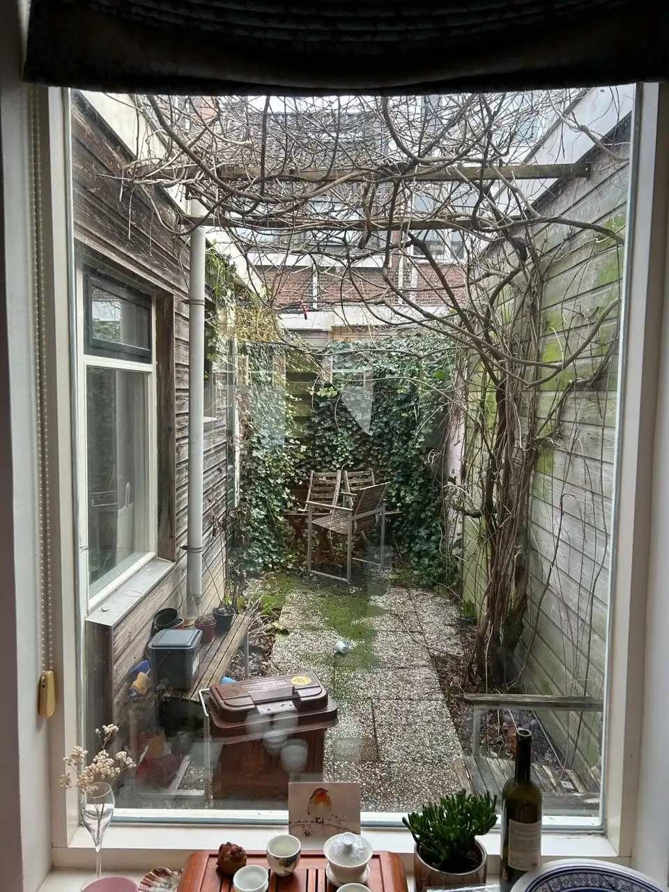 image-7