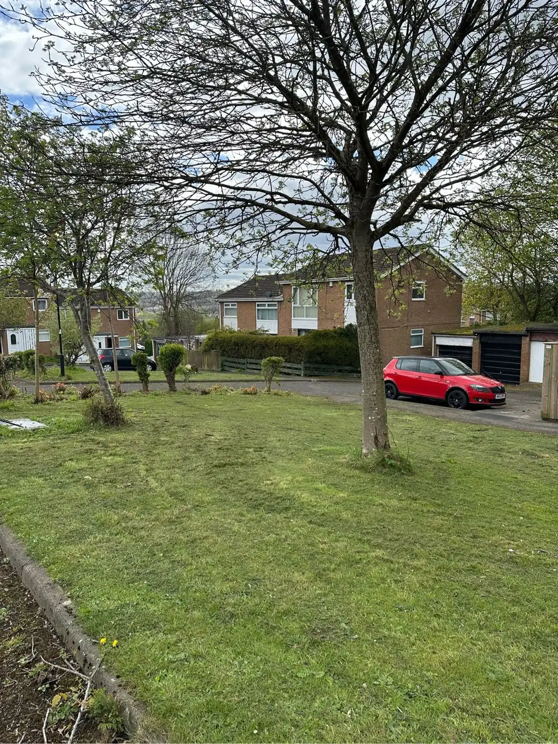 image-17