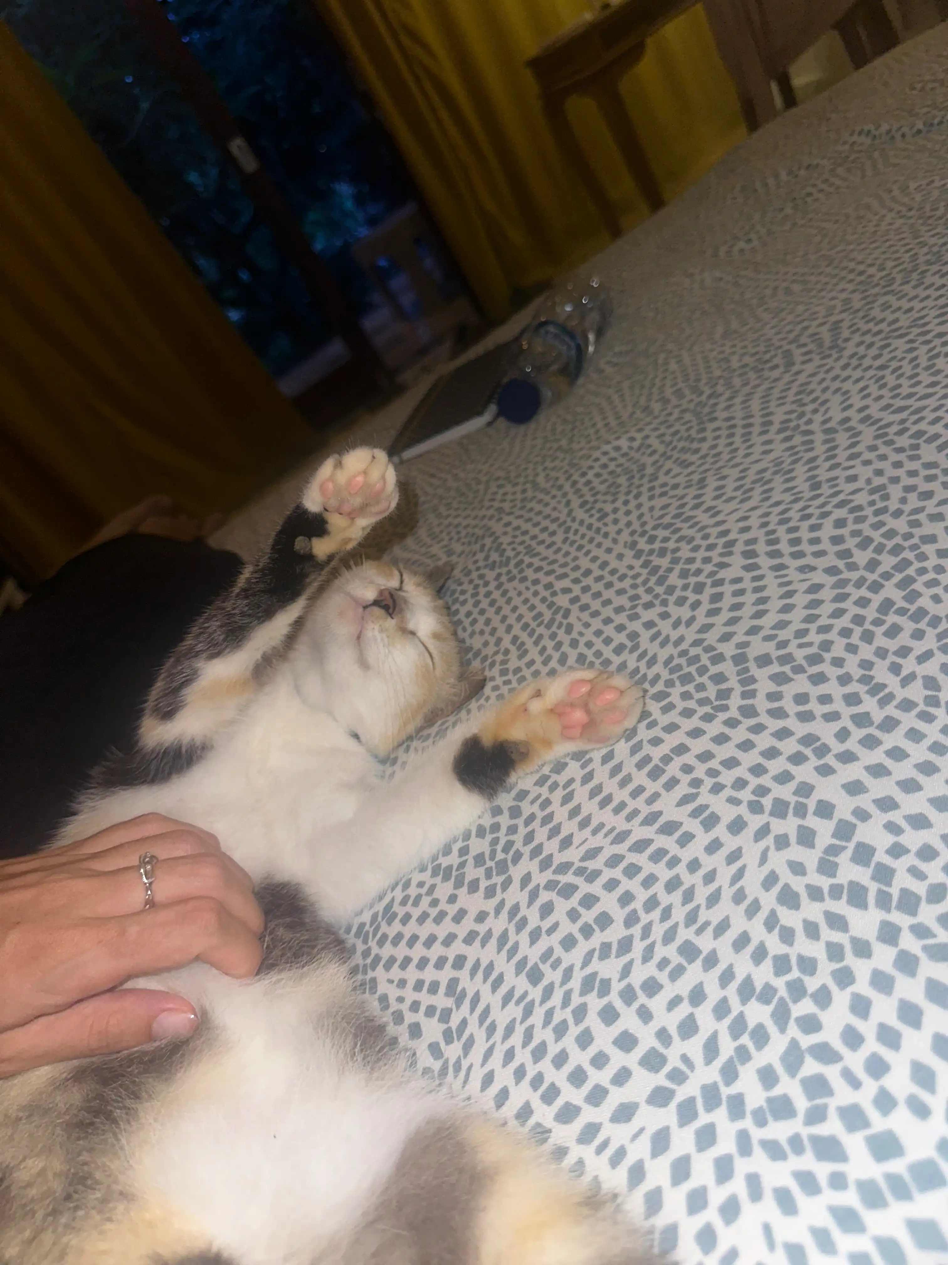 image-7
