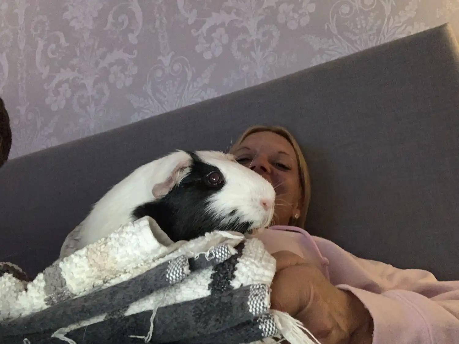image-6