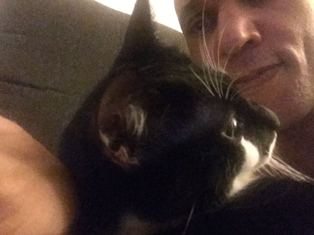 image-8