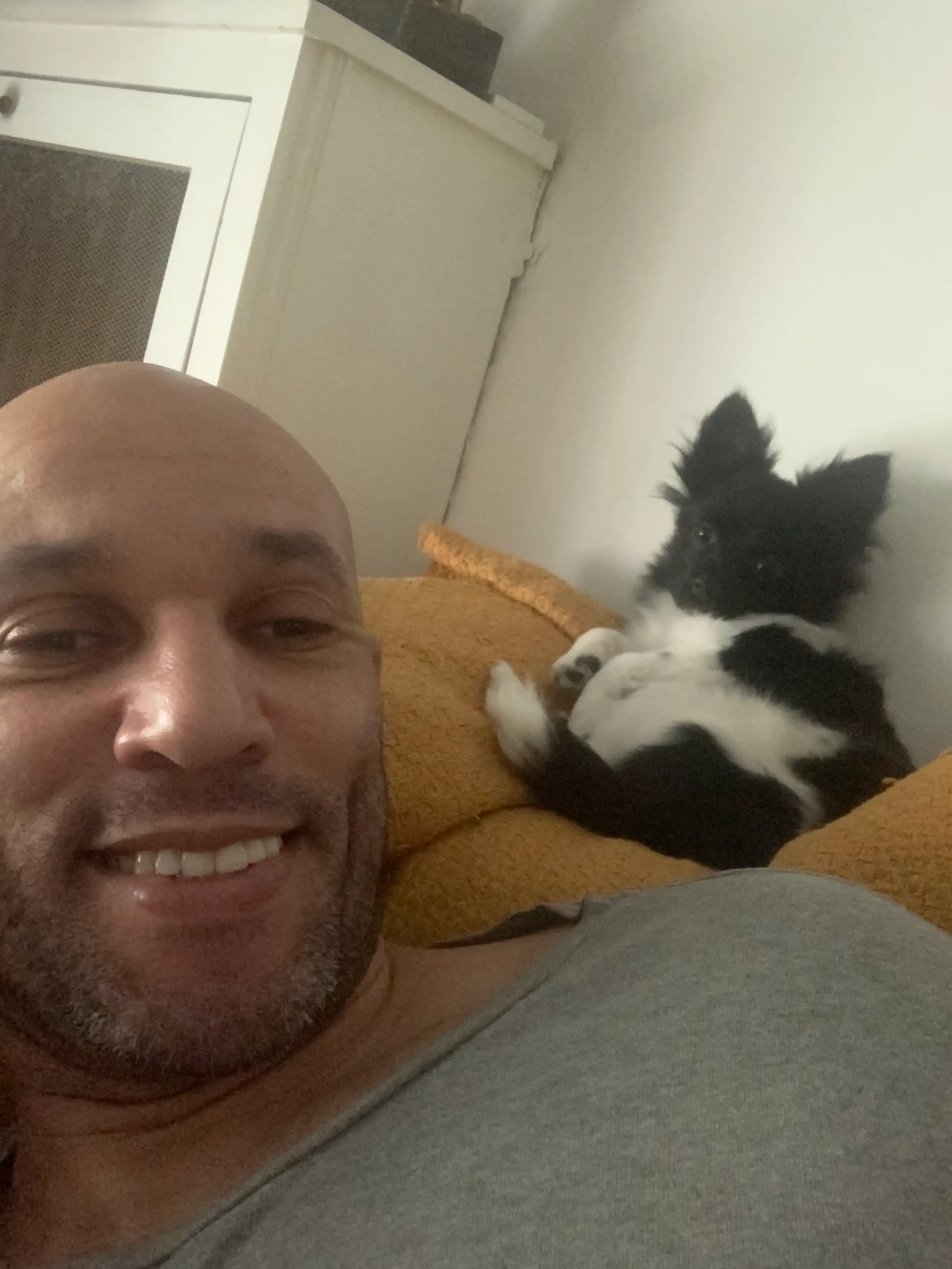 image-18