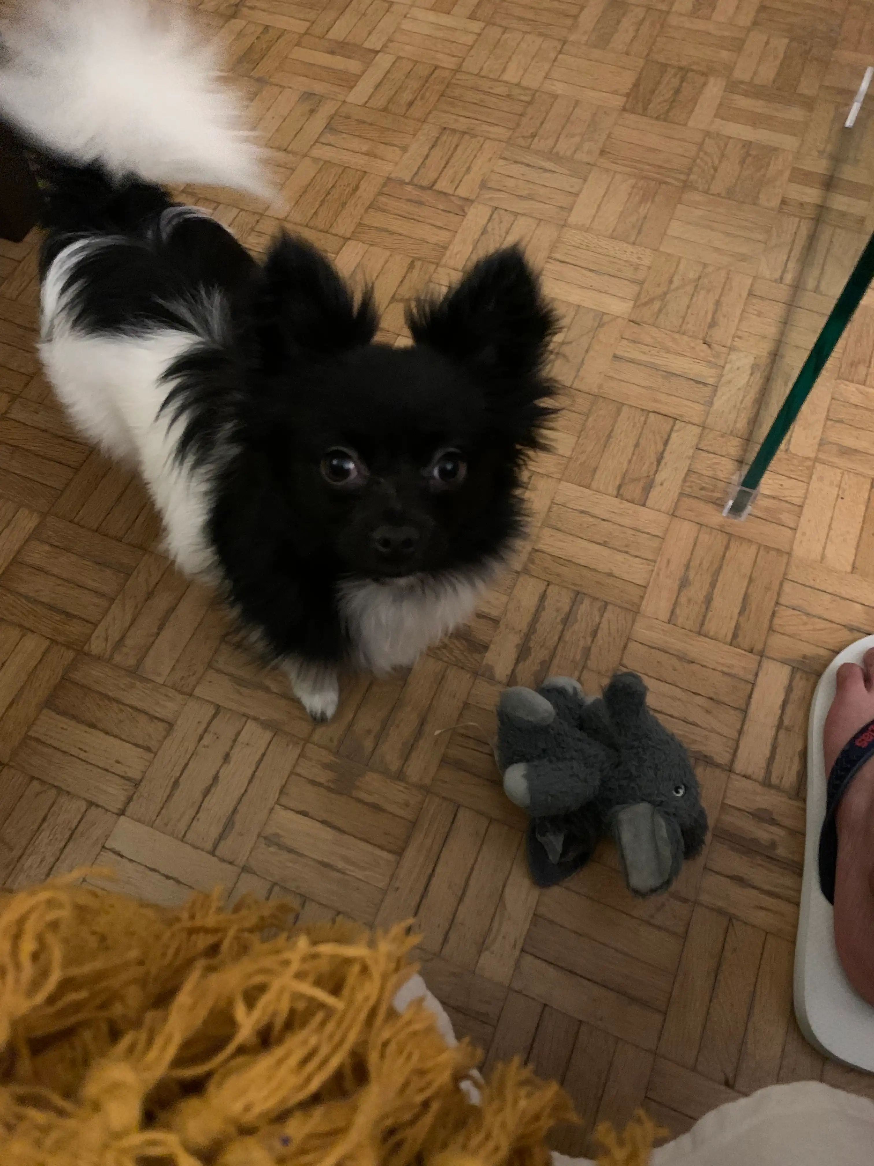 image-13