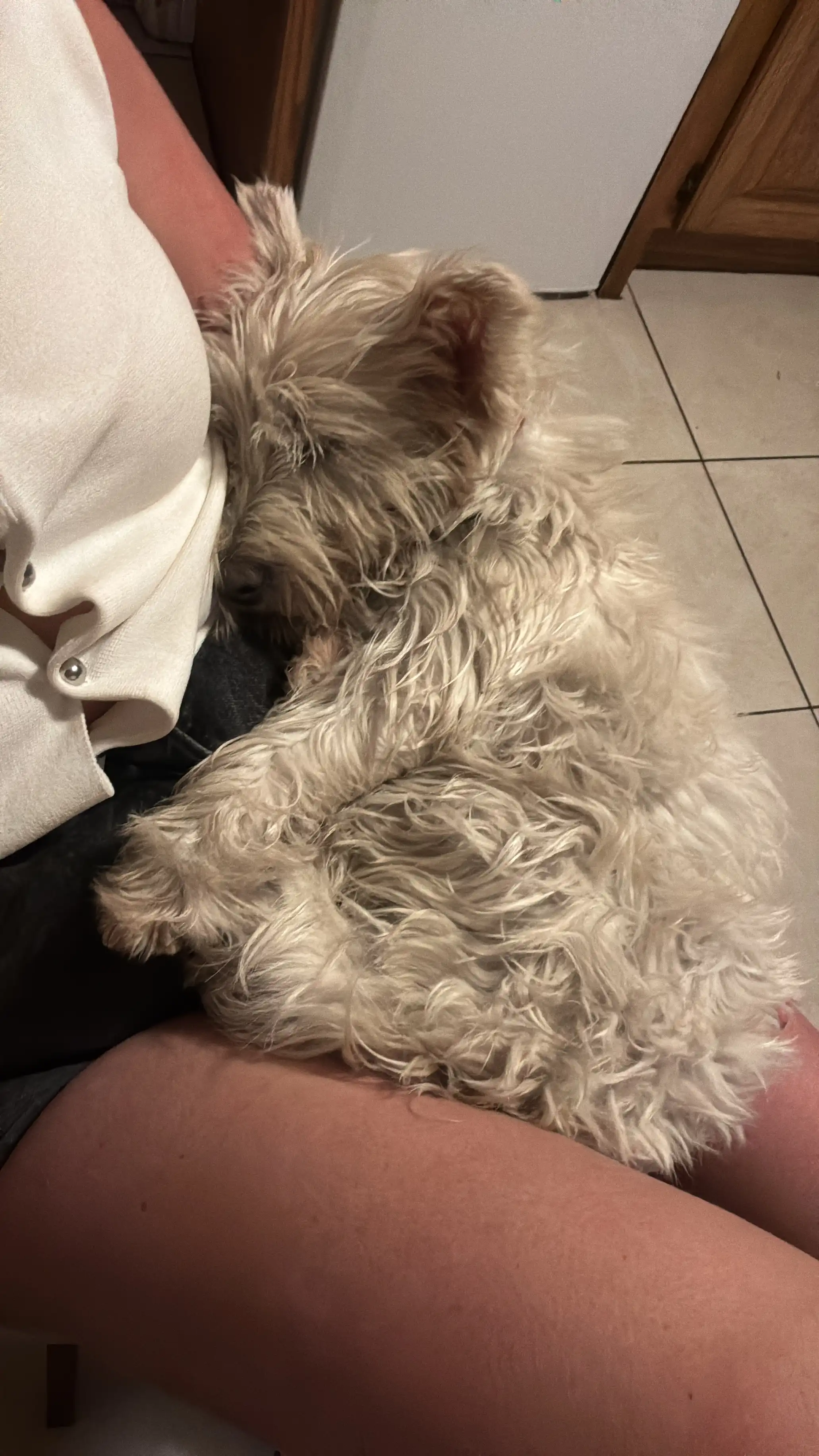 image-5