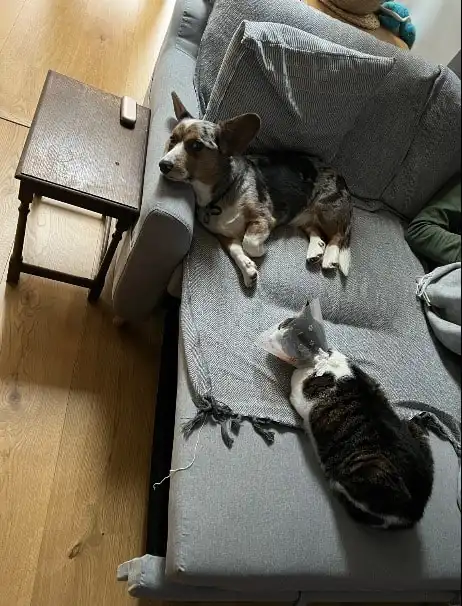 image-8