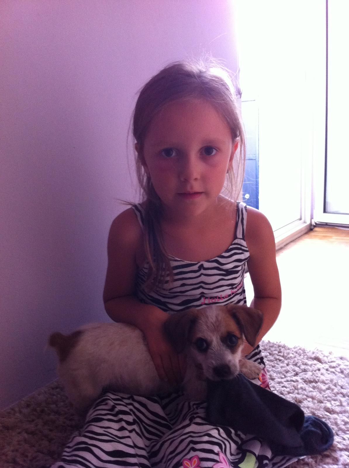image-5