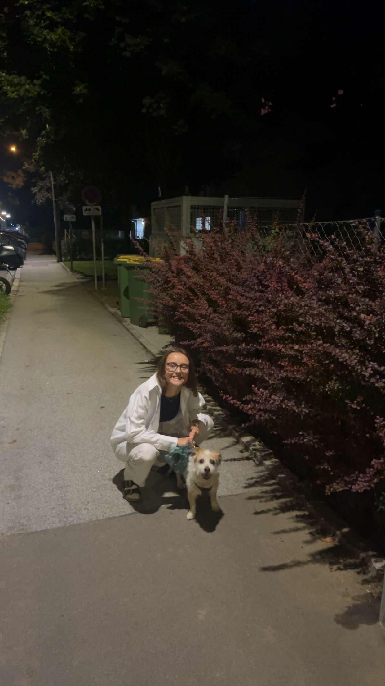 image-9