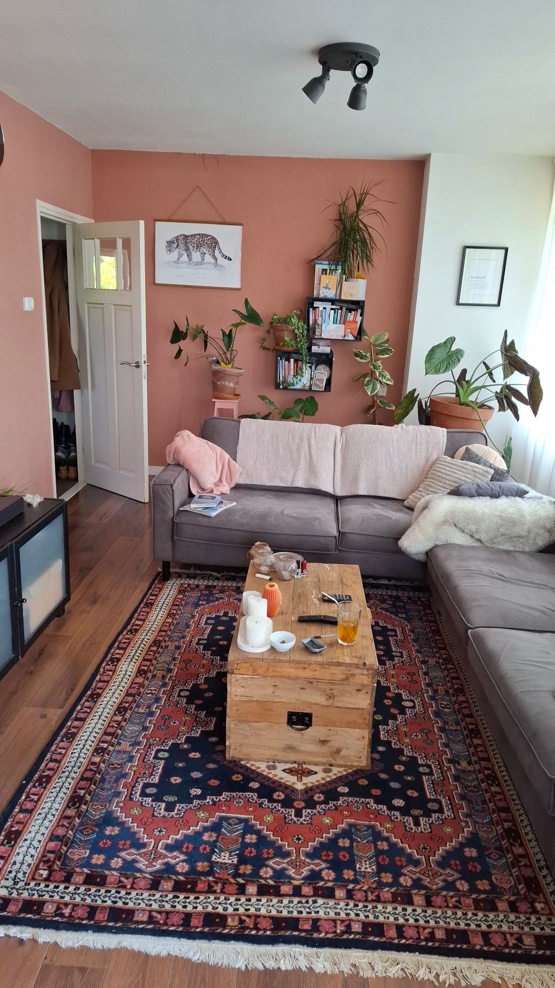 image-11