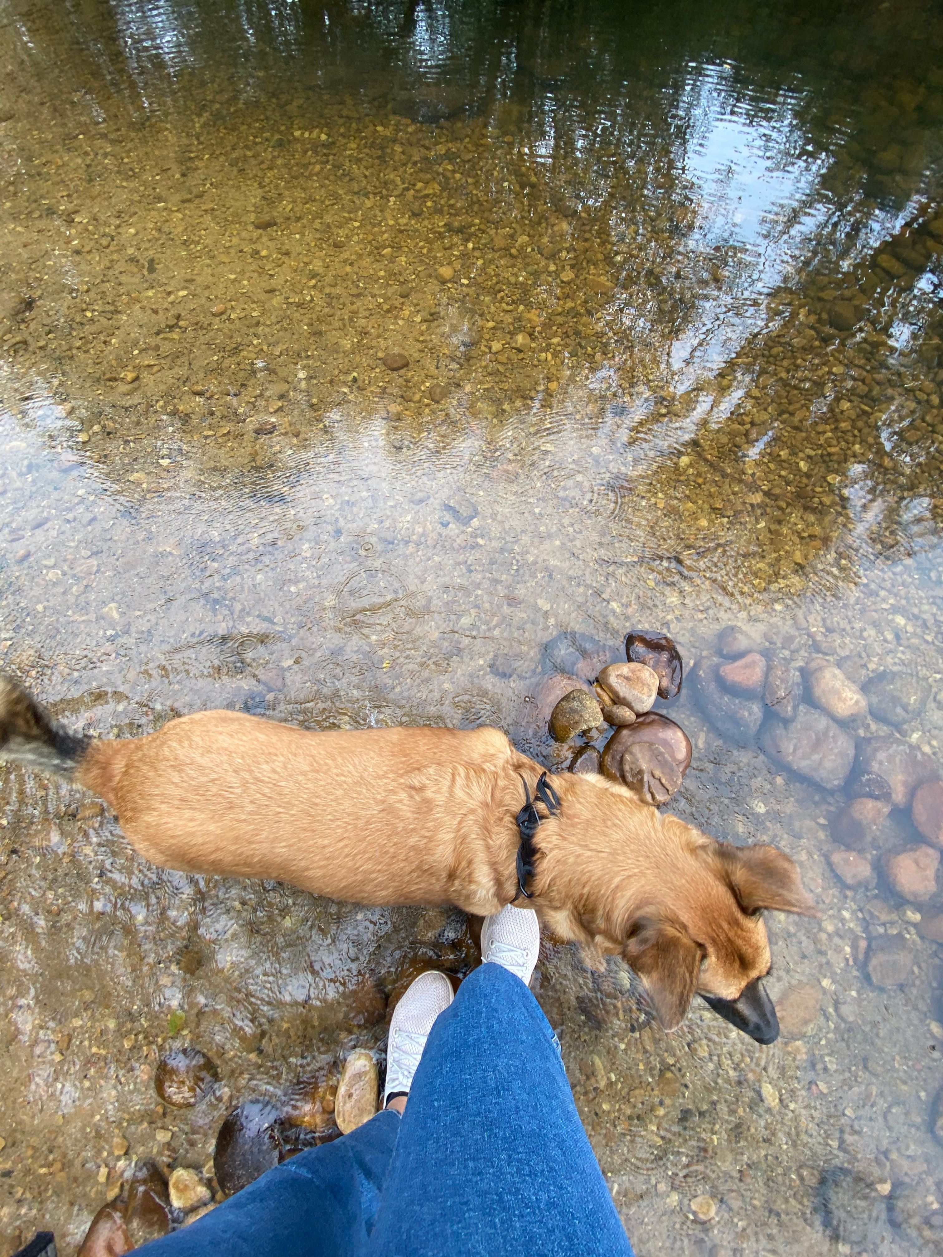 image-5