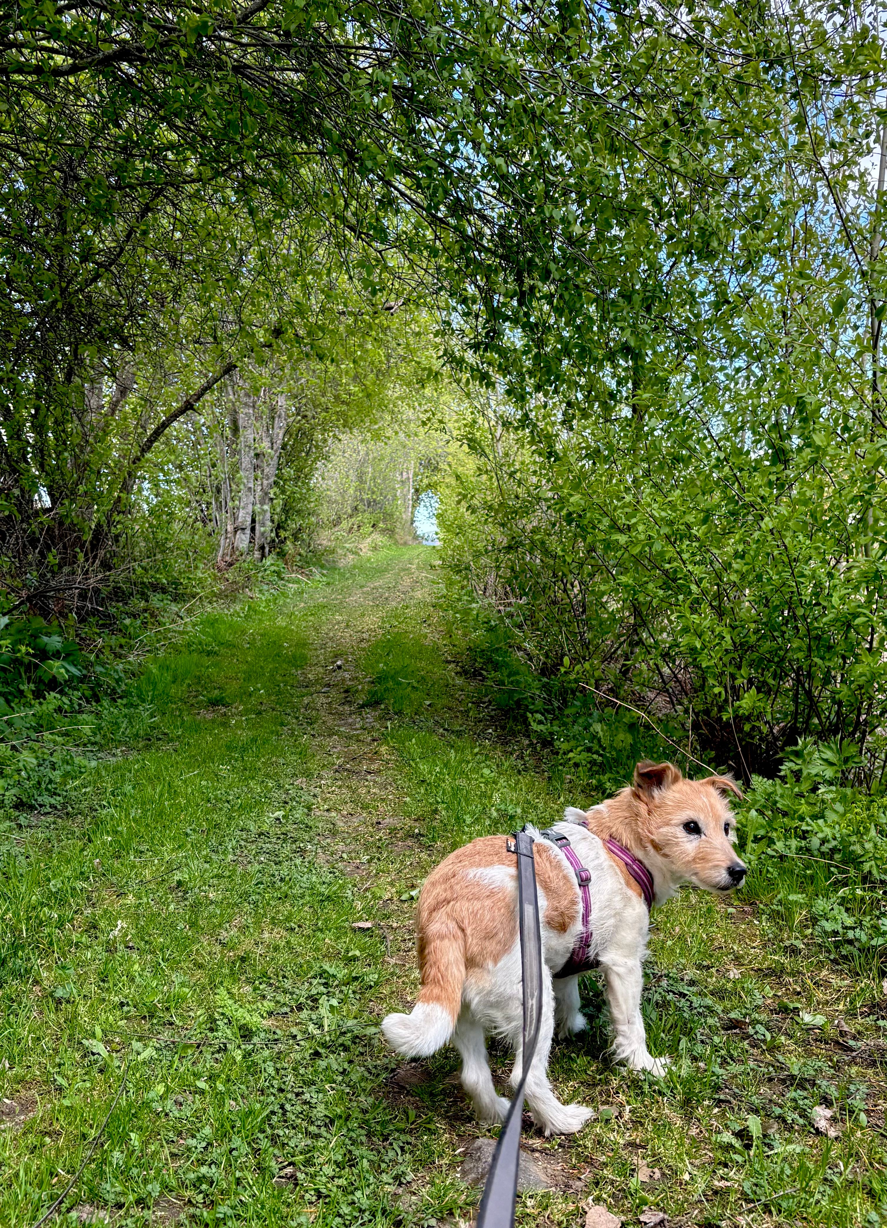 image-12