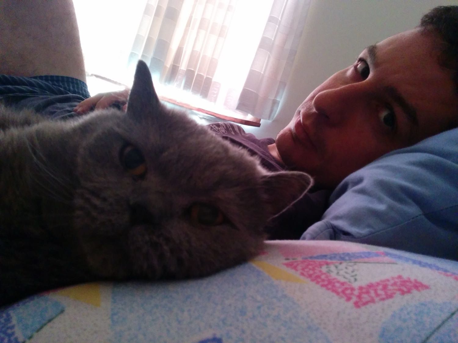 image-5