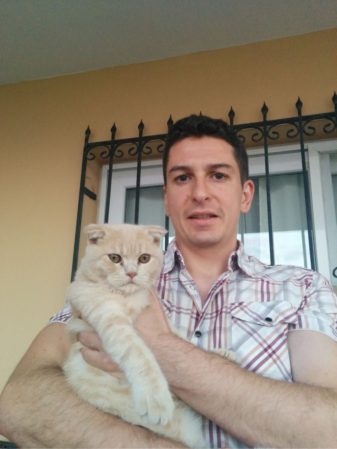 image-3
