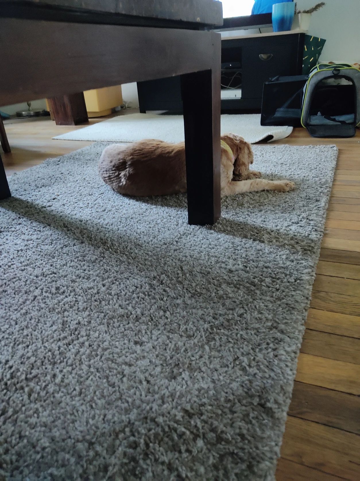 image-14