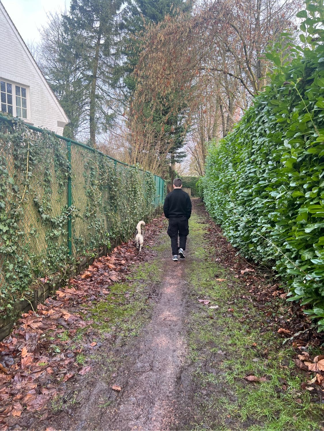 image-8