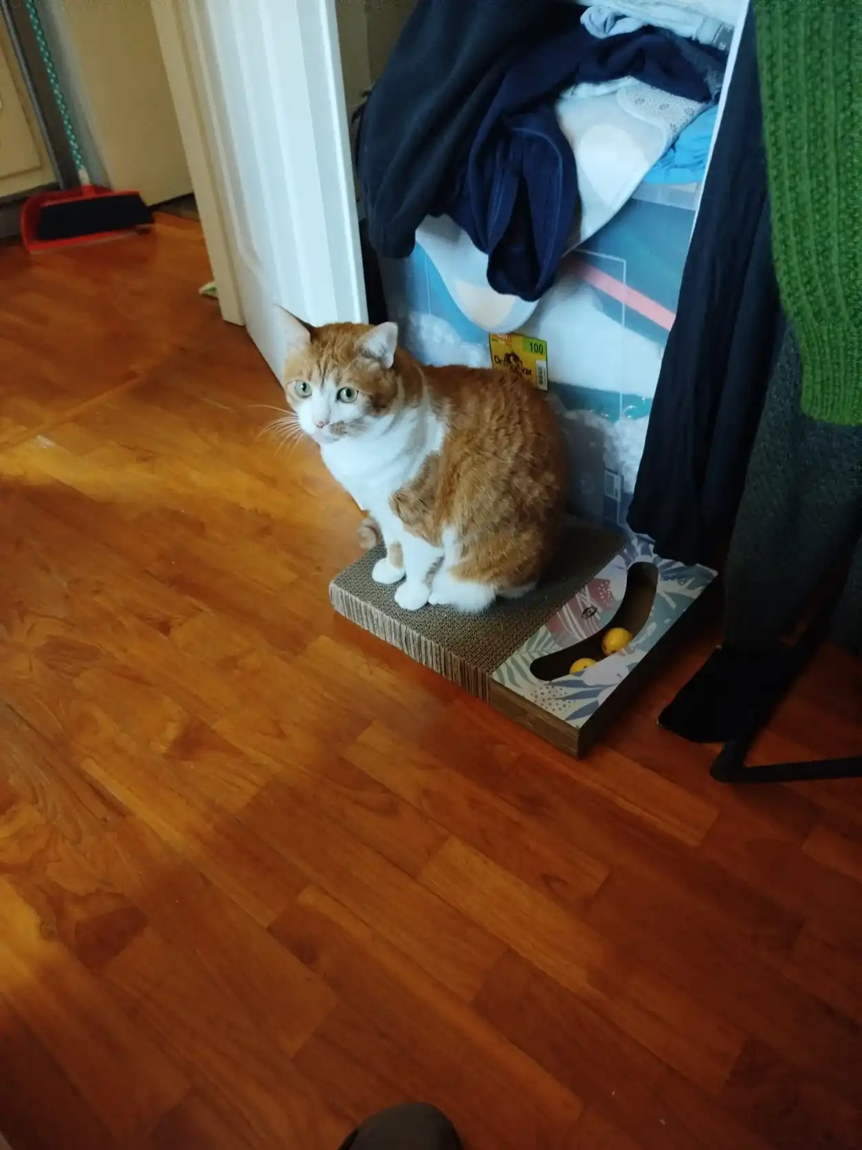 image-9