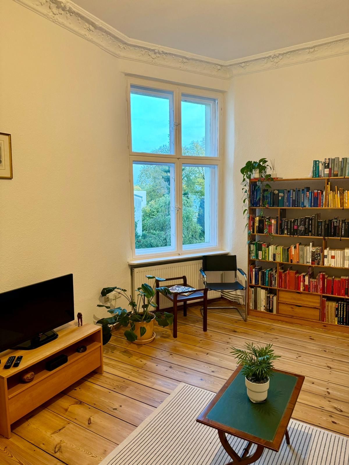 image-19