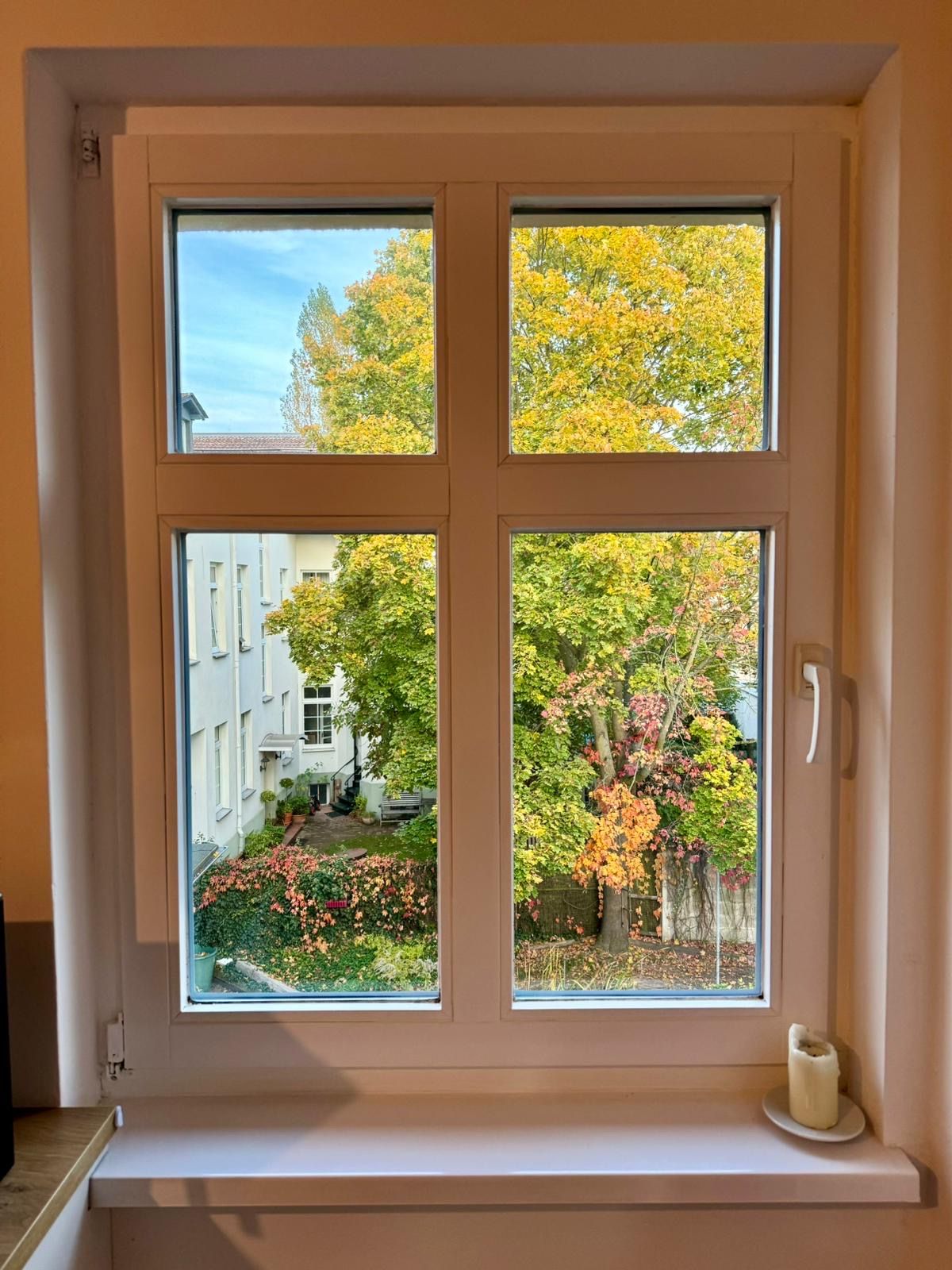 image-20