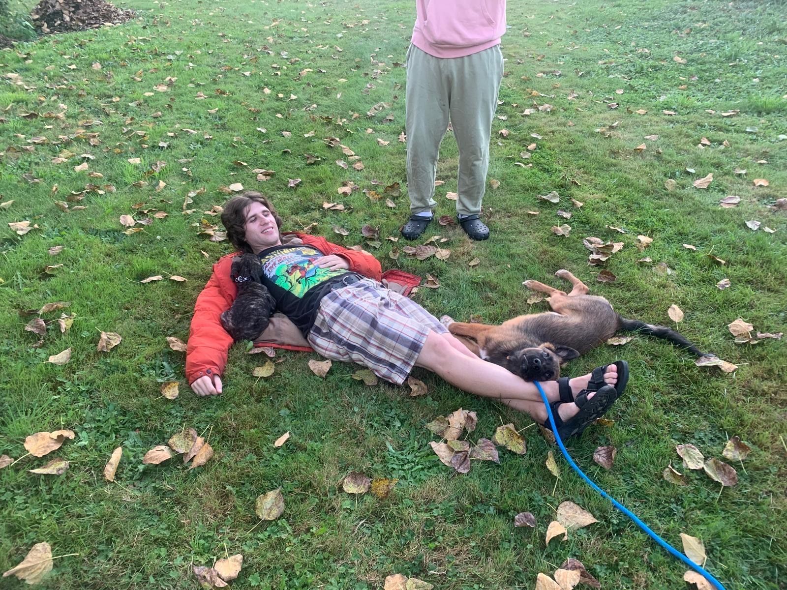 image-6