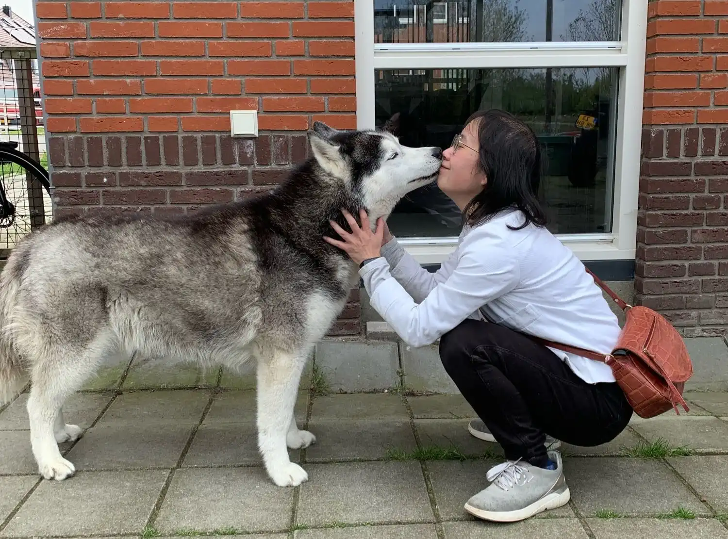 image-9