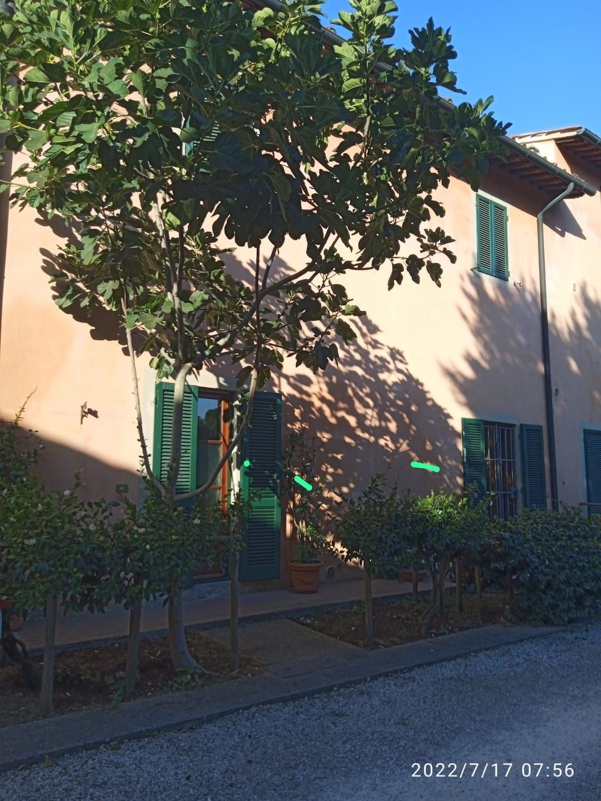 image-14