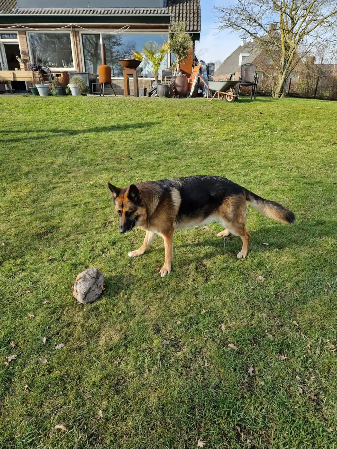 image-11