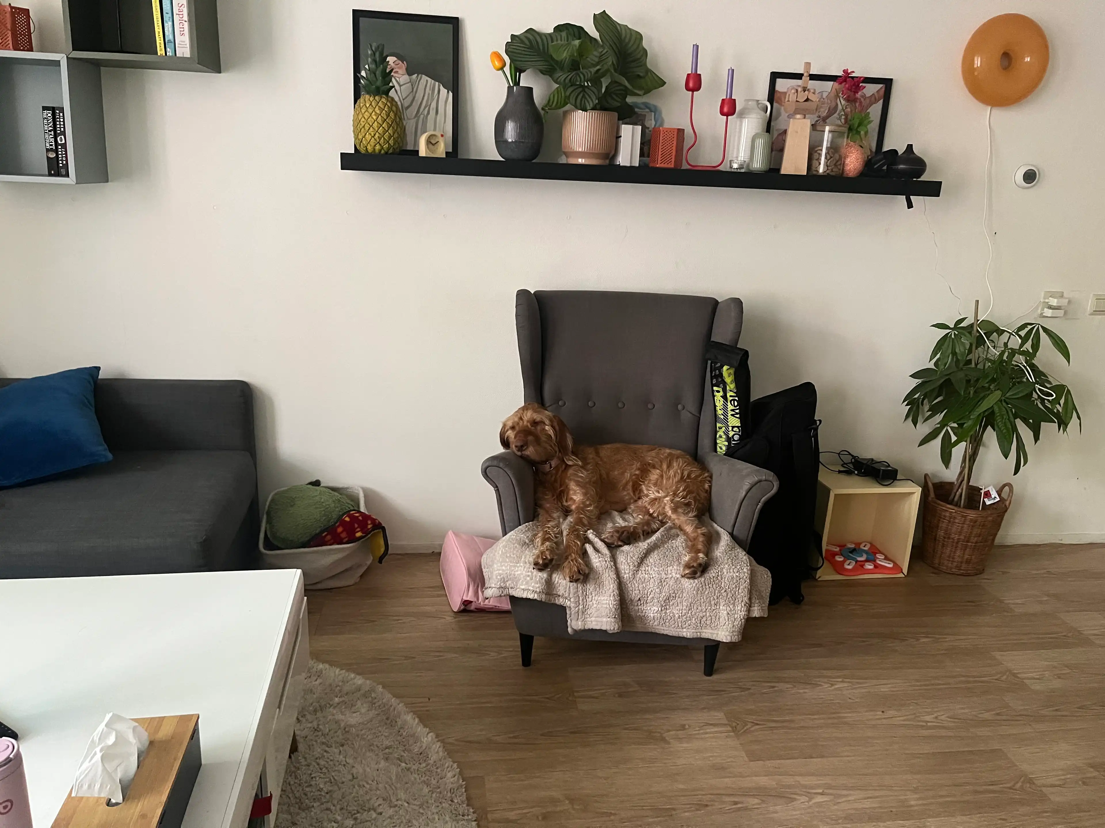 image-18