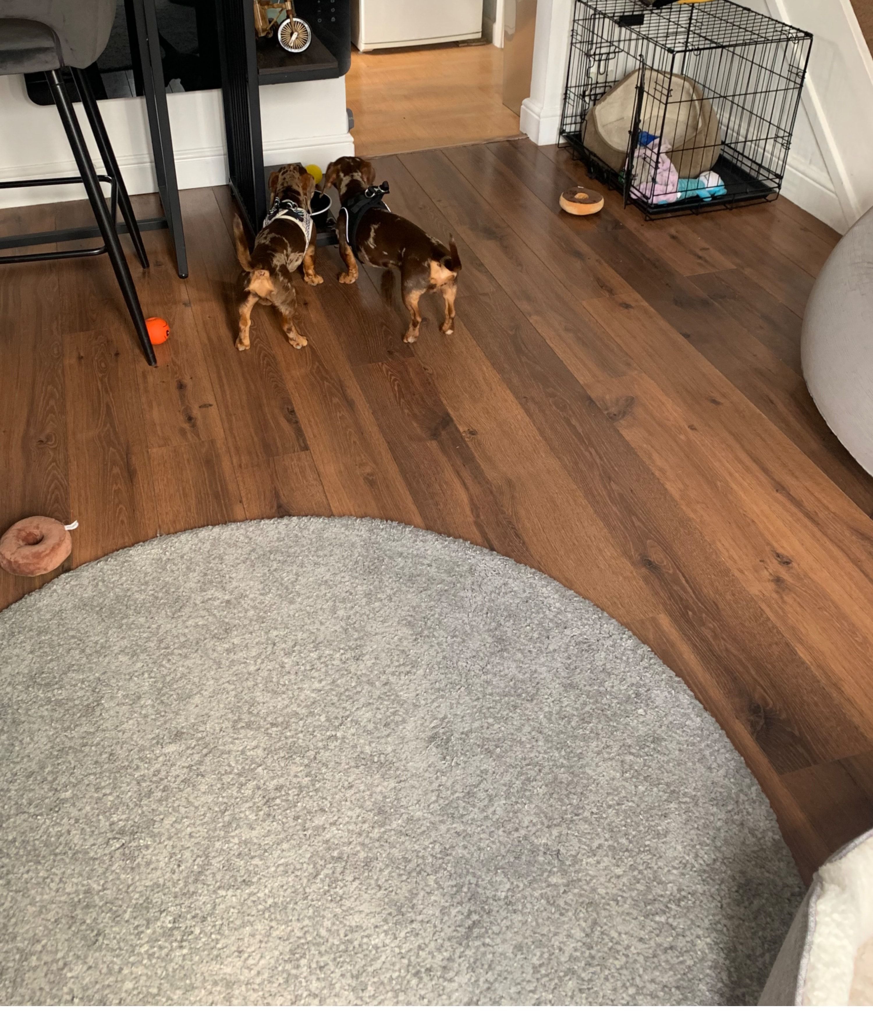 image-16