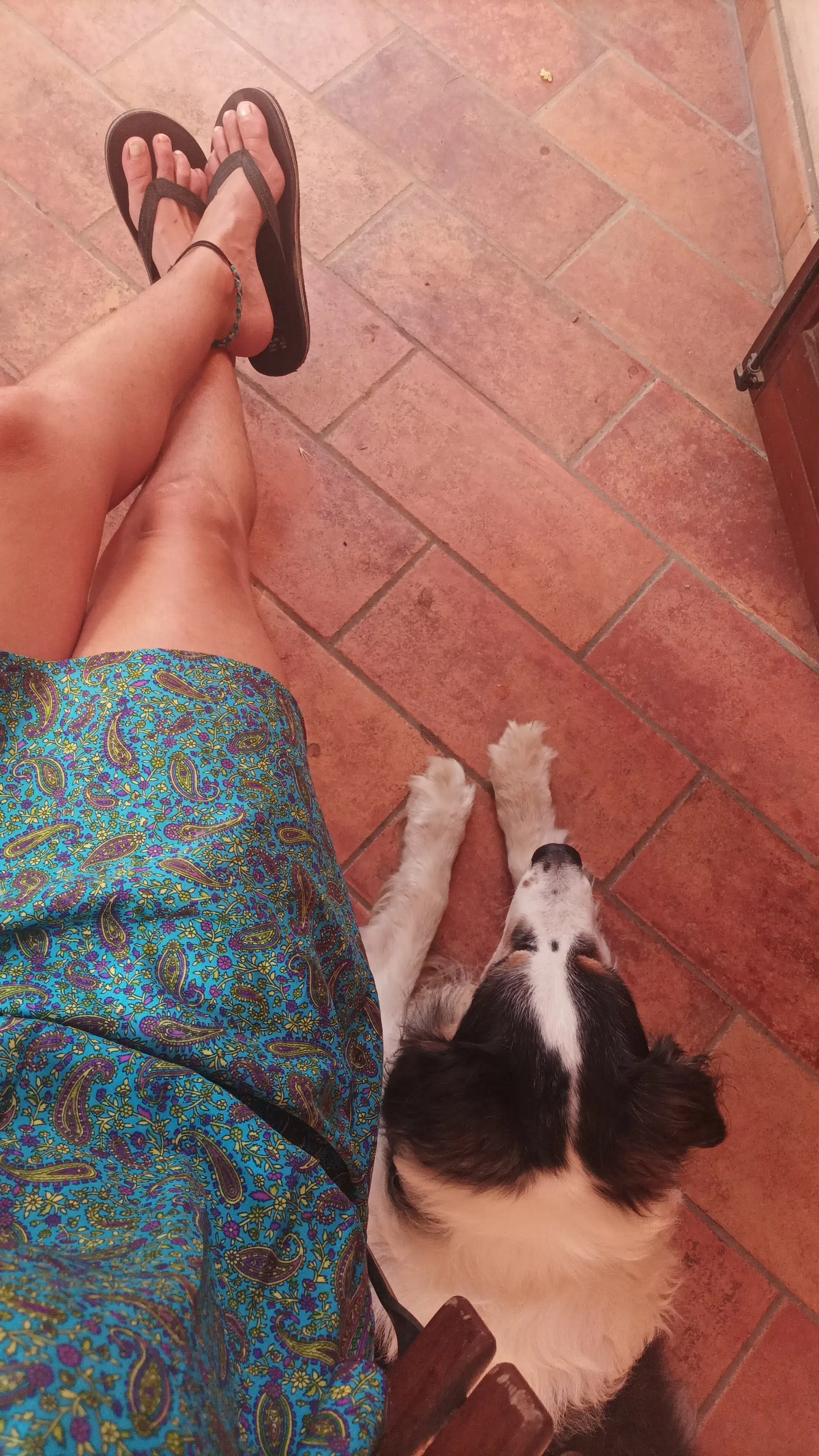 image-8