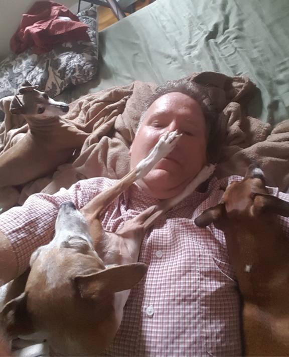 image-7