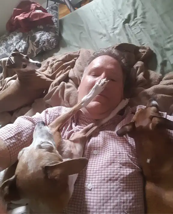 image-7