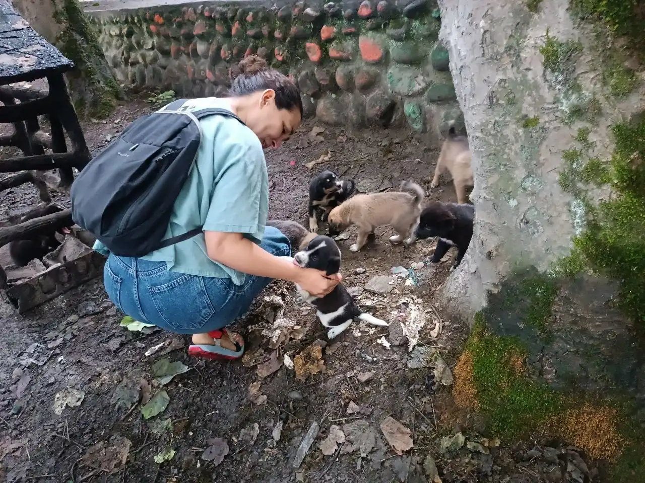 image-9