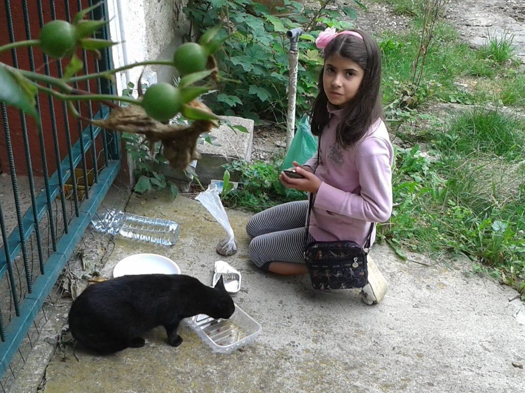 image-22