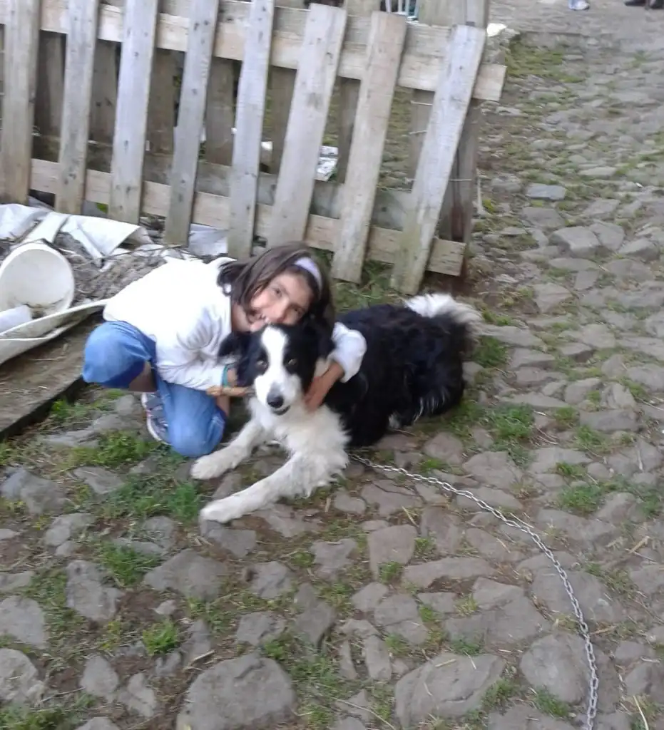 image-17
